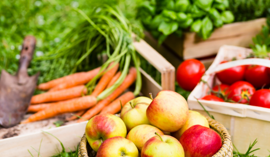 Healthy Diet : Foods to prevent kidney health