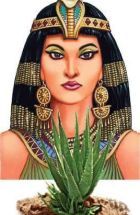 Cleopatra -aloevera