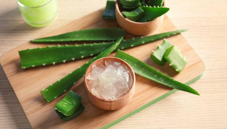 Aloe vera history and benefits .