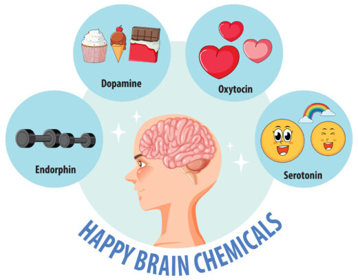 The Gut-Brain Axis: Your Second Brain Explained