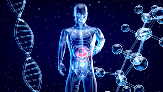 Gut microbiota and athletic performance