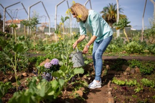 Gardening as physical activity