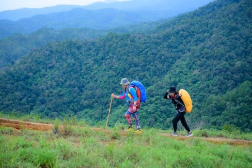 Hiking for Cardiovascular Fitness: A Natural Way to Improve Heart Health