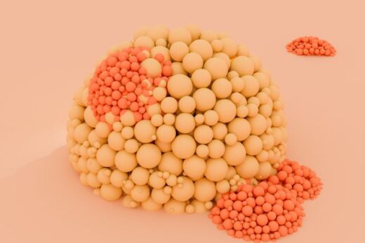 Visceral Fat Biology: Hidden Fat and Its Health Risks
