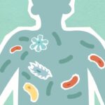 Immunometabolism: How Cellular Energy Systems Influence Immune Function