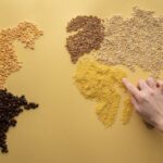 Environmental Trade-Offs of Alternative Proteins: Evaluating Systems Together