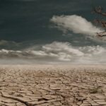 Extreme Heat and Human Physiology: How the Body Responds to a Warming World