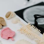Autophagy and Cellular Maintenance: Understanding the Body’s Internal Recycling System