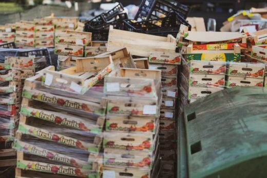 Science of Food Waste Valorisation: Recovering Nutrients From Materials